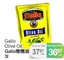 T&T Supermarket GALLO OLIVE OIL, 3L offer