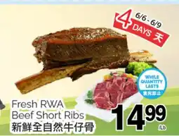 T&T Supermarket FRESH RWA BEEF SHORT RIBS offer