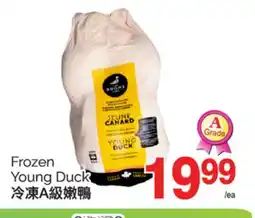 T&T Supermarket FROZEN YOUNG DUCK offer
