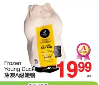 T&T Supermarket FROZEN YOUNG DUCK offer