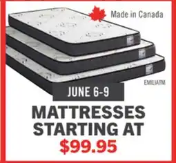 The Brick Springwall Emilia Tight Top Twin Mattress offer
