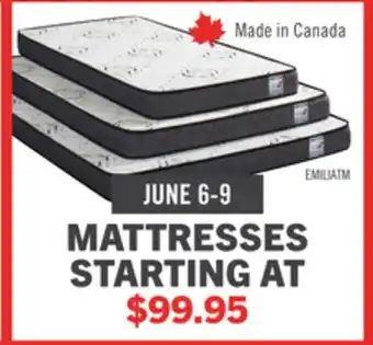 The Brick Springwall Emilia Tight Top Twin Mattress offer