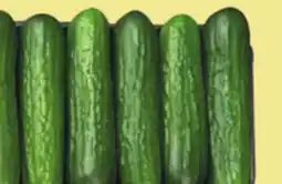 Food World Supermarket CUCUMBER MINI PACK offer