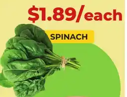 Food World Supermarket SPINACH offer