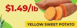Food World Supermarket YELLOW SWEET POTATO offer
