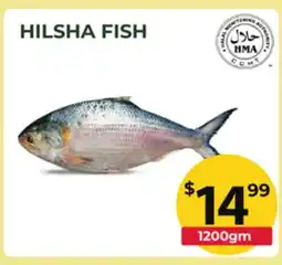 Food World Supermarket HILSHA FISH offer