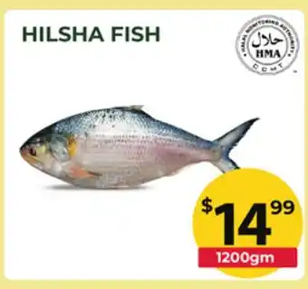 Food World Supermarket HILSHA FISH offer