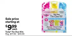 Michaels Tulip Tie-Dye Kits offer