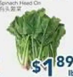 Oceans Fresh Food Market Spinach Head On offer