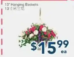 Oceans Fresh Food Market 13 Hanging Baskets offer
