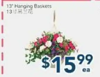 Oceans Fresh Food Market 13 Hanging Baskets offer
