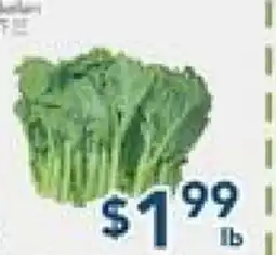 Oceans Fresh Food Market Oceans Fresh Food Market offer