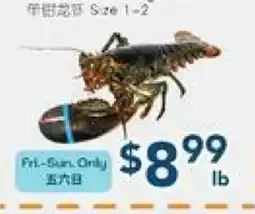 Oceans Fresh Food Market Canada Lobstor Single Claw offer