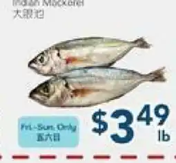 Oceans Fresh Food Market Indian Mackerel offer