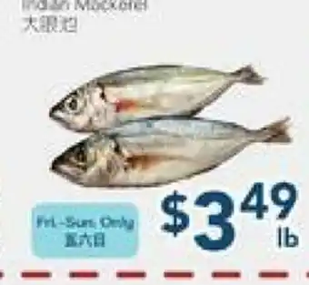 Oceans Fresh Food Market Indian Mackerel offer