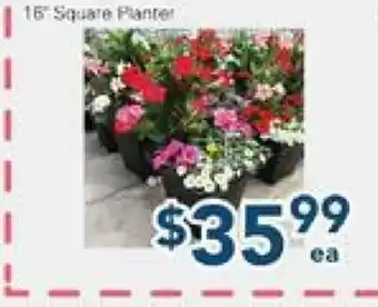 Oceans Fresh Food Market 16 Square Planter offer