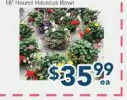 Oceans Fresh Food Market 16' Round Hibiscus Bowl offer