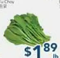 Oceans Fresh Food Market Yu Choy offer