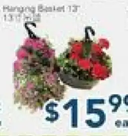 Oceans Fresh Food Market Hanging Basket 13 offer
