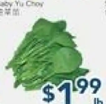 Oceans Fresh Food Market Baby Yu Choy offer