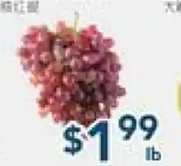 Oceans Fresh Food Market Seedless Red Grapes offer