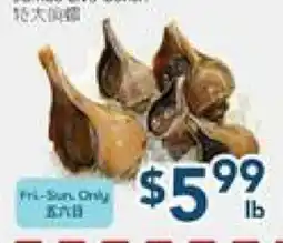 Oceans Fresh Food Market Jumbo Live Conch offer
