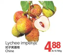 T&T Supermarket LYCHEE IMPERIAL offer
