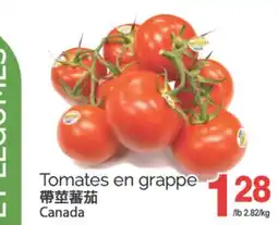 T&T Supermarket TOMATES EN GRAPPE offer
