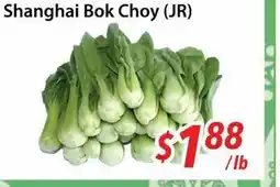 Bestco Food Mart Shanghai Bok Choy (JR) offer