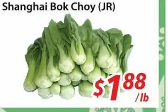 Bestco Food Mart Shanghai Bok Choy (JR) offer