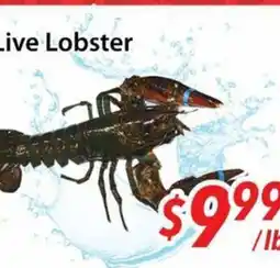 Bestco Food Mart Live Lobster offer