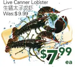 Ample Food Market Live Canner Lobster offer