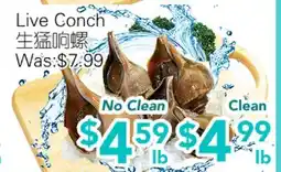 Ample Food Market Live Conch offer