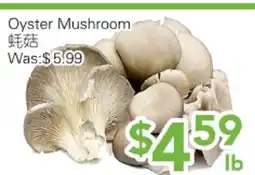 Ample Food Market Oyster Mushroom offer