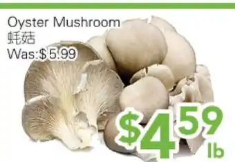 Ample Food Market Oyster Mushroom offer