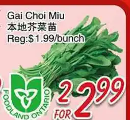 Foody Mart Gai Choi Miu offer