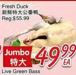 Foody Mart FRESH DUCK offer