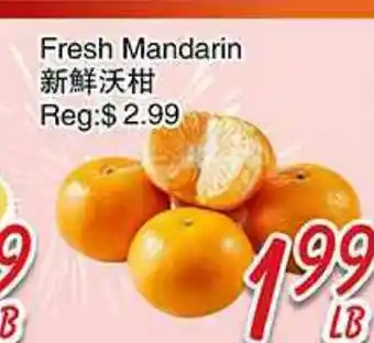 Foody Mart Fresh Mandarin offer
