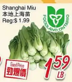 Foody Mart Shanghai Miu offer