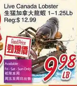 Foody Mart Live Canada Lobster offer