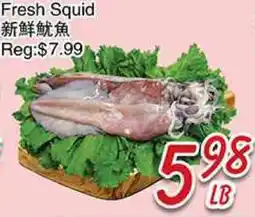 Foody Mart FRESH SQUID offer