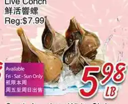Foody Mart LIVE CONCH offer