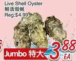 Foody Mart Live Shell Oyster offer