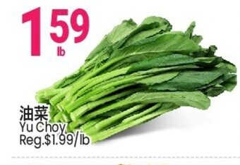 Yu Choy