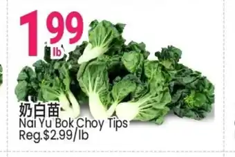 SunFood Supermarket Nai Yu Bok Choy Tips offer