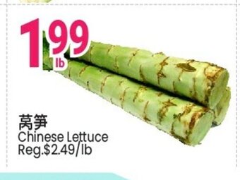 SunFood Supermarket Chinese Lettuce offer