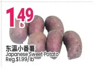 Japanese Sweet Potato