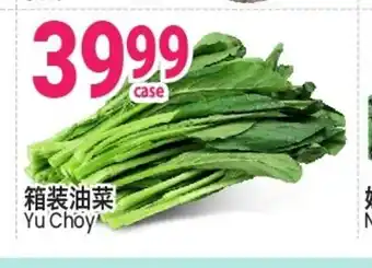 SunFood Supermarket Yu Choy offer