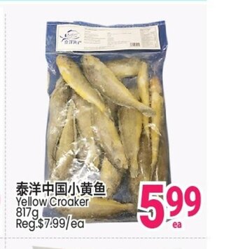 Yellow Croaker