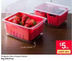 Kitchen Stuff Plus Fridgestor Berry Keeper Basket offer